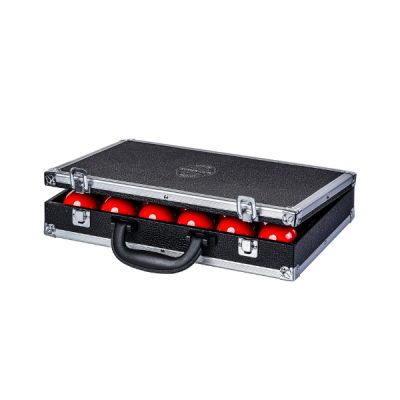 Ballkoffer Snooker silber schwarz